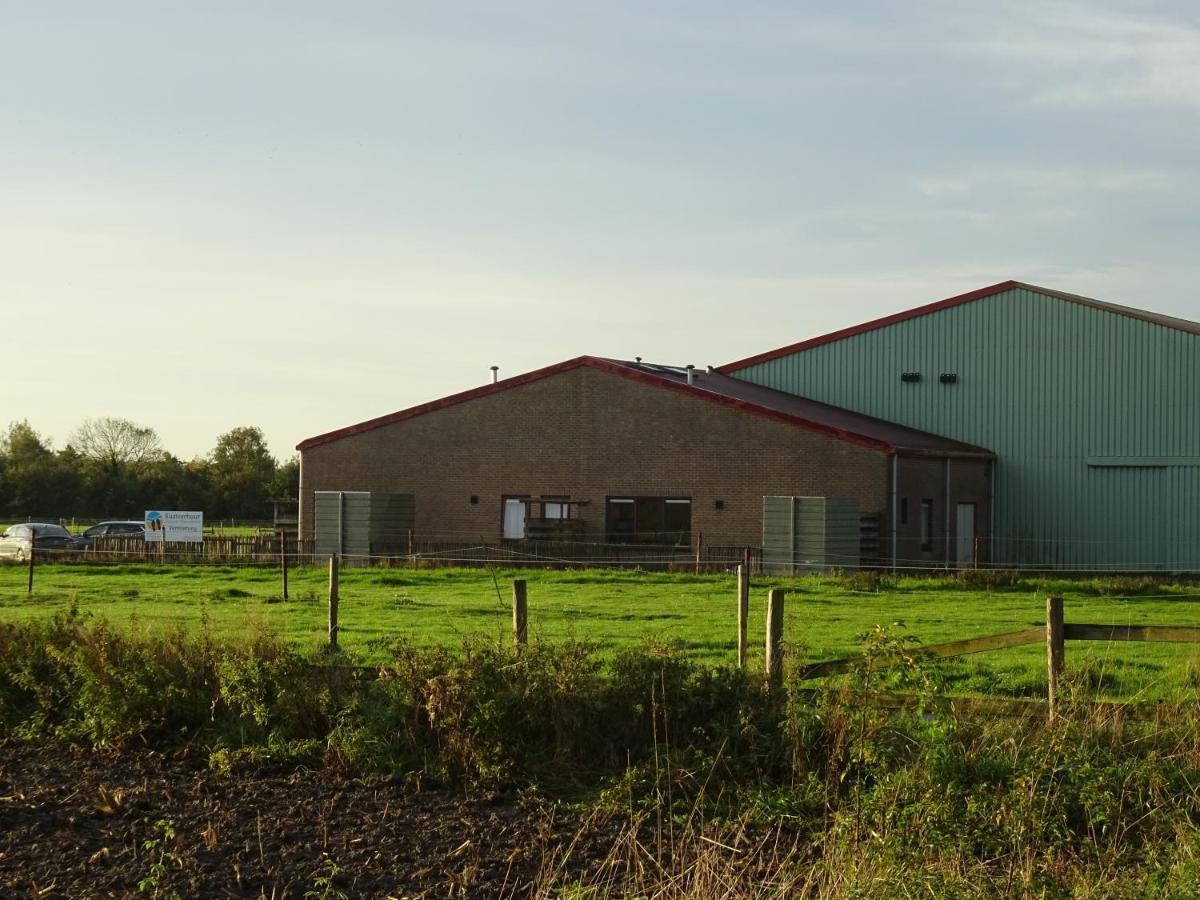 Kustverhuur, Oude Manege Nieuwvliet, Nieuwvliet 3 - 9 外观 照片